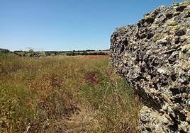 Muro visible del castillo de Lagunas Rubias, en Aldeanueva de Figueroa, construido por Alfonso IX de León.