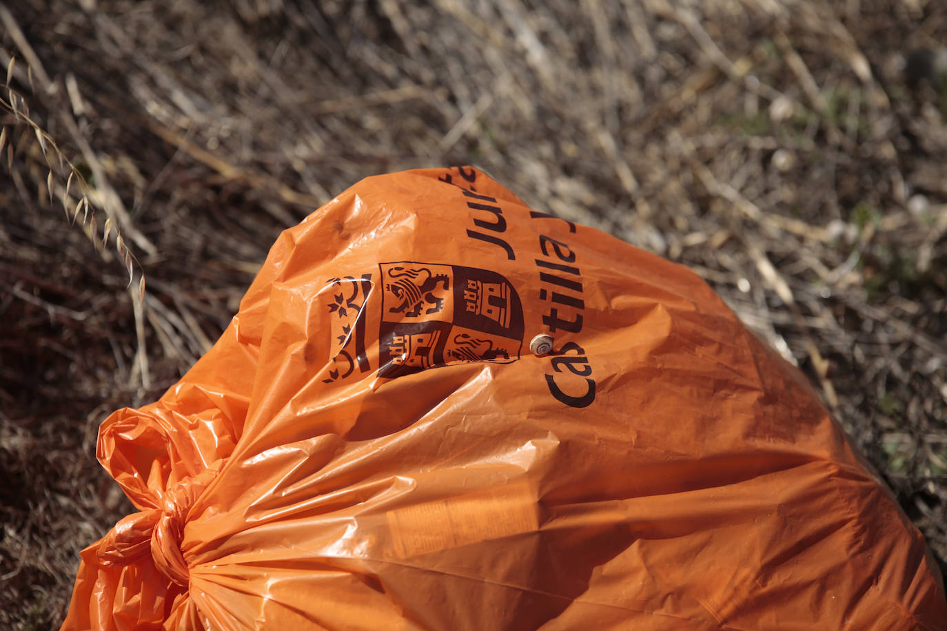 Cuando las cunetas se convierten en un vertedero