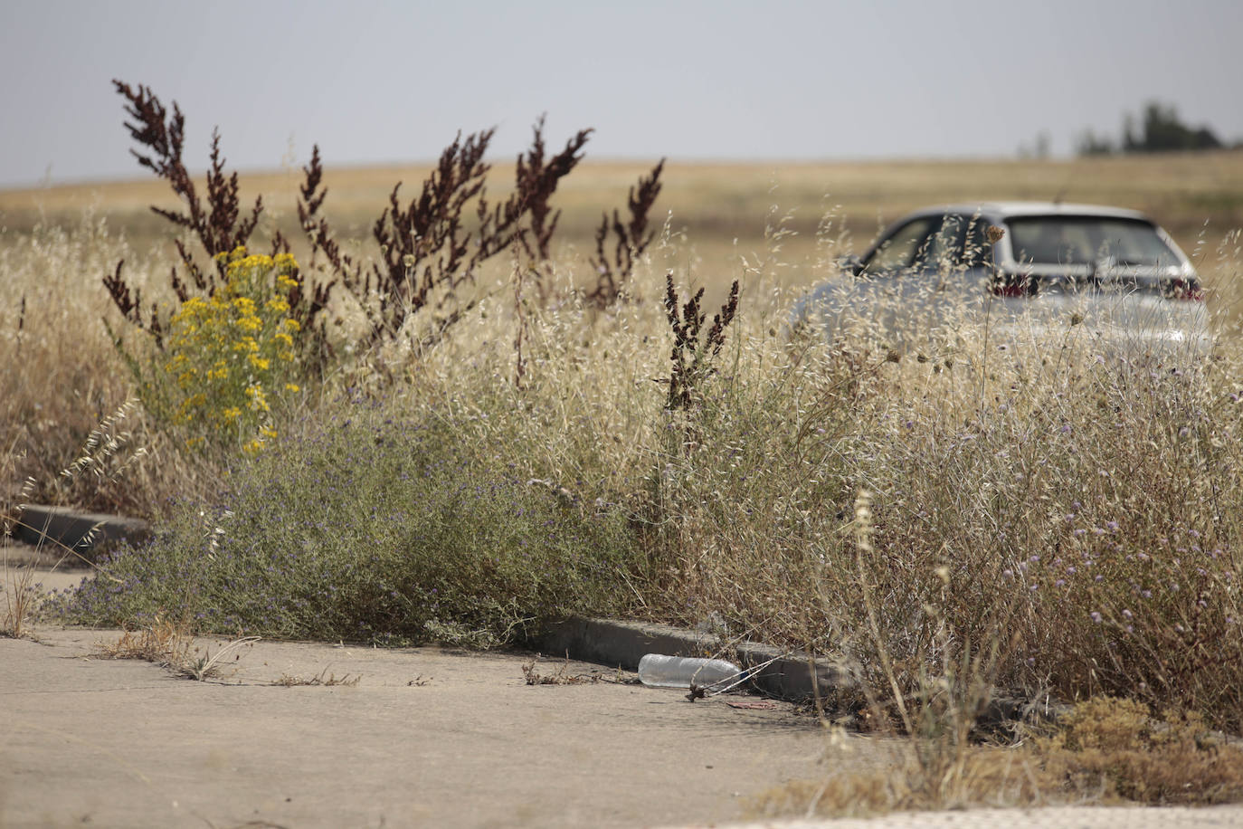 Cuando las cunetas se convierten en un vertedero