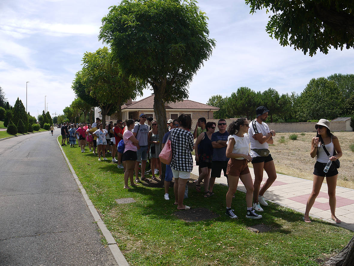 Paella popular en Carbajosa a la espera del día de San Roque