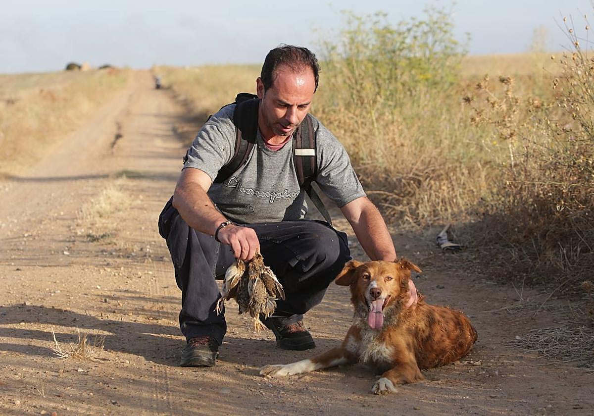 Un cazador en Zamora, durante el Inicio de la media veda en Castilla y León.