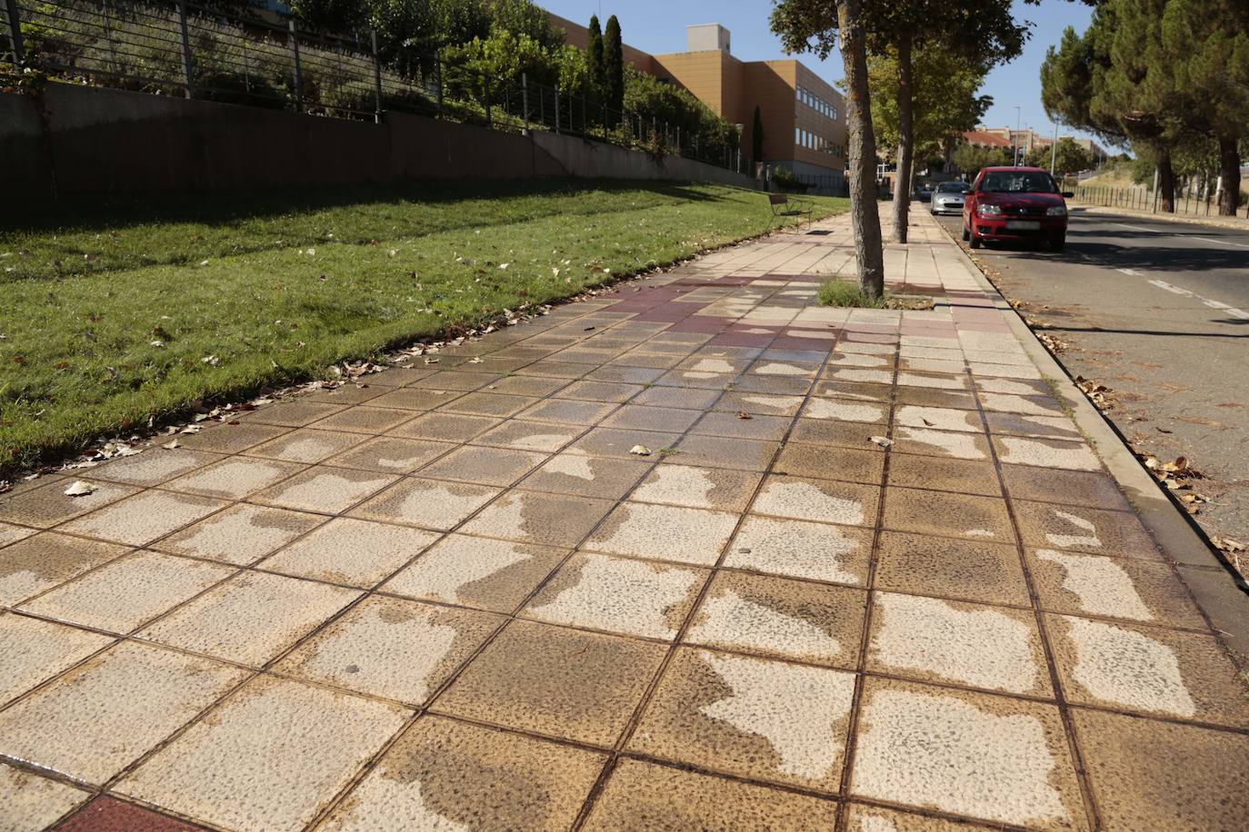 Los sistemas de riego de Salamanca, a examen