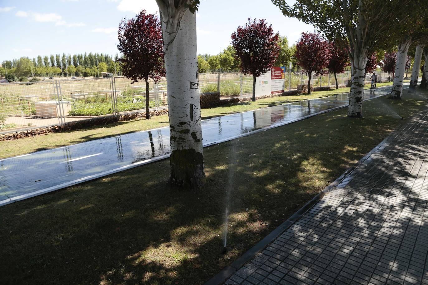 Los sistemas de riego de Salamanca, a examen