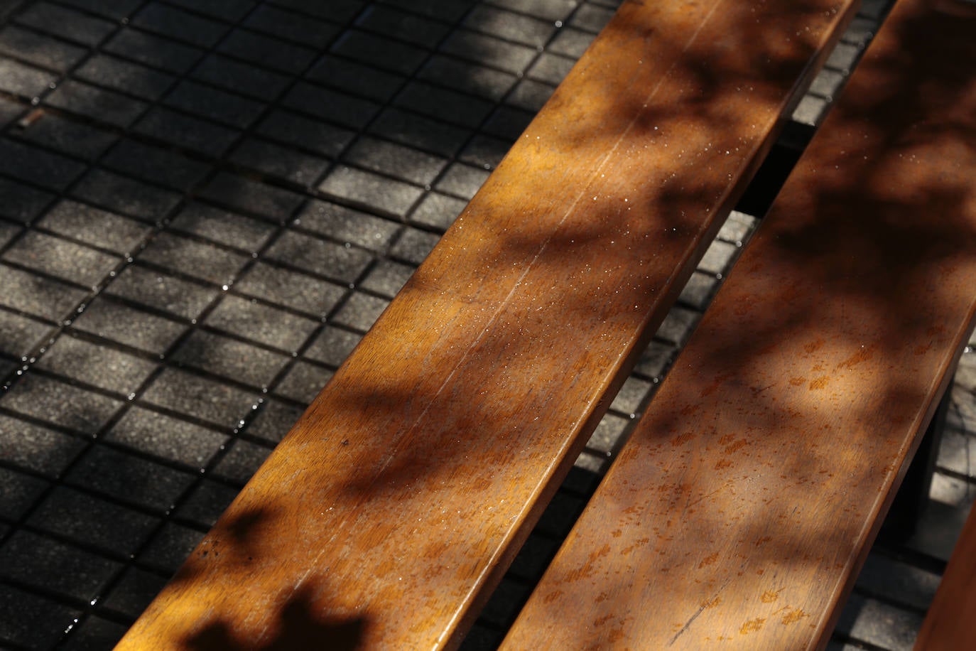 Los sistemas de riego de Salamanca, a examen