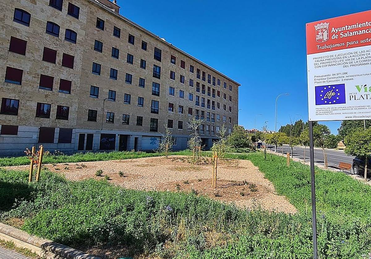 Soluciones naturales para gestionar el agua de lluvia en Salamanca
