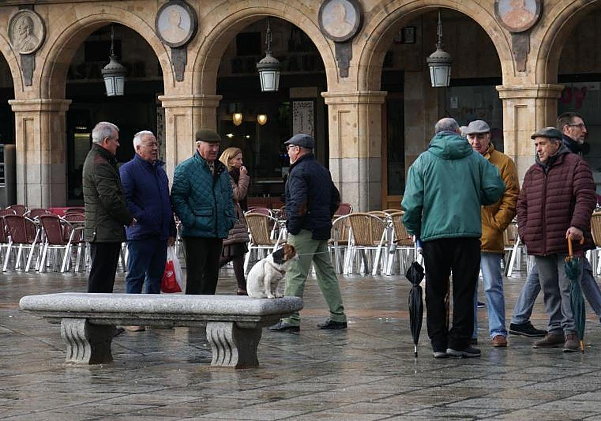 Foto de archivo de un grupo de personas mayores en la Plaza Mayor de Salamanca.