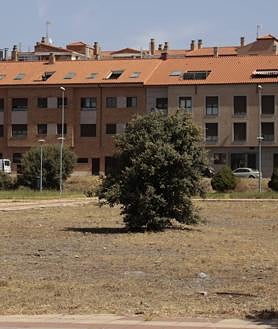 Imagen secundaria 2 - La contradicción de arrasar con limpiezas agresivas los solares municipales y pretender renaturalizar Salamanca