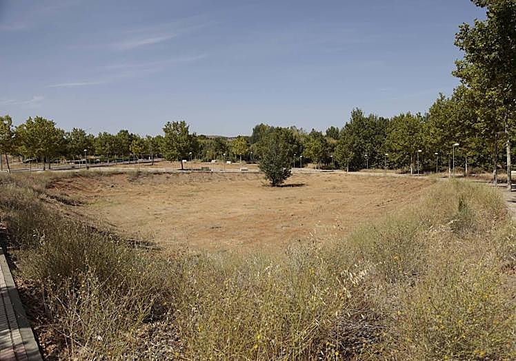 Imagen principal - La contradicción de arrasar con limpiezas agresivas los solares municipales y pretender renaturalizar Salamanca