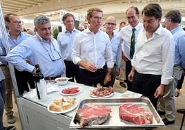 El presidente del PP, Alberto Núñez Feijóo y el presidente de Castilla y León, Alfonso Fernández Mañueco visitan la Feria Agropecuaria SALAMAQ de 2022.