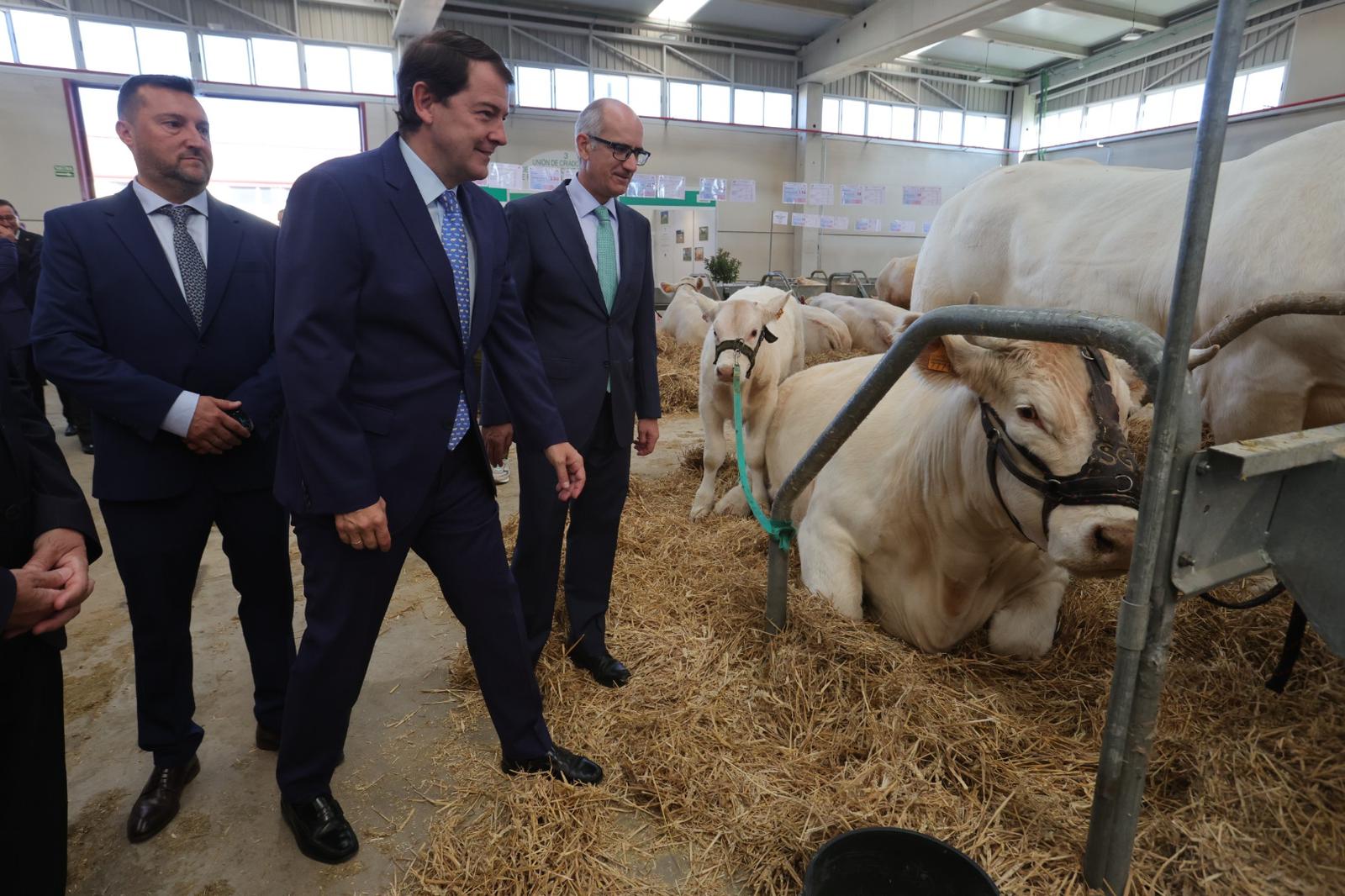 Inaugurada Salamaq, Feria del Sector Agropecuario y Exposición Internacional de Ganado Puro