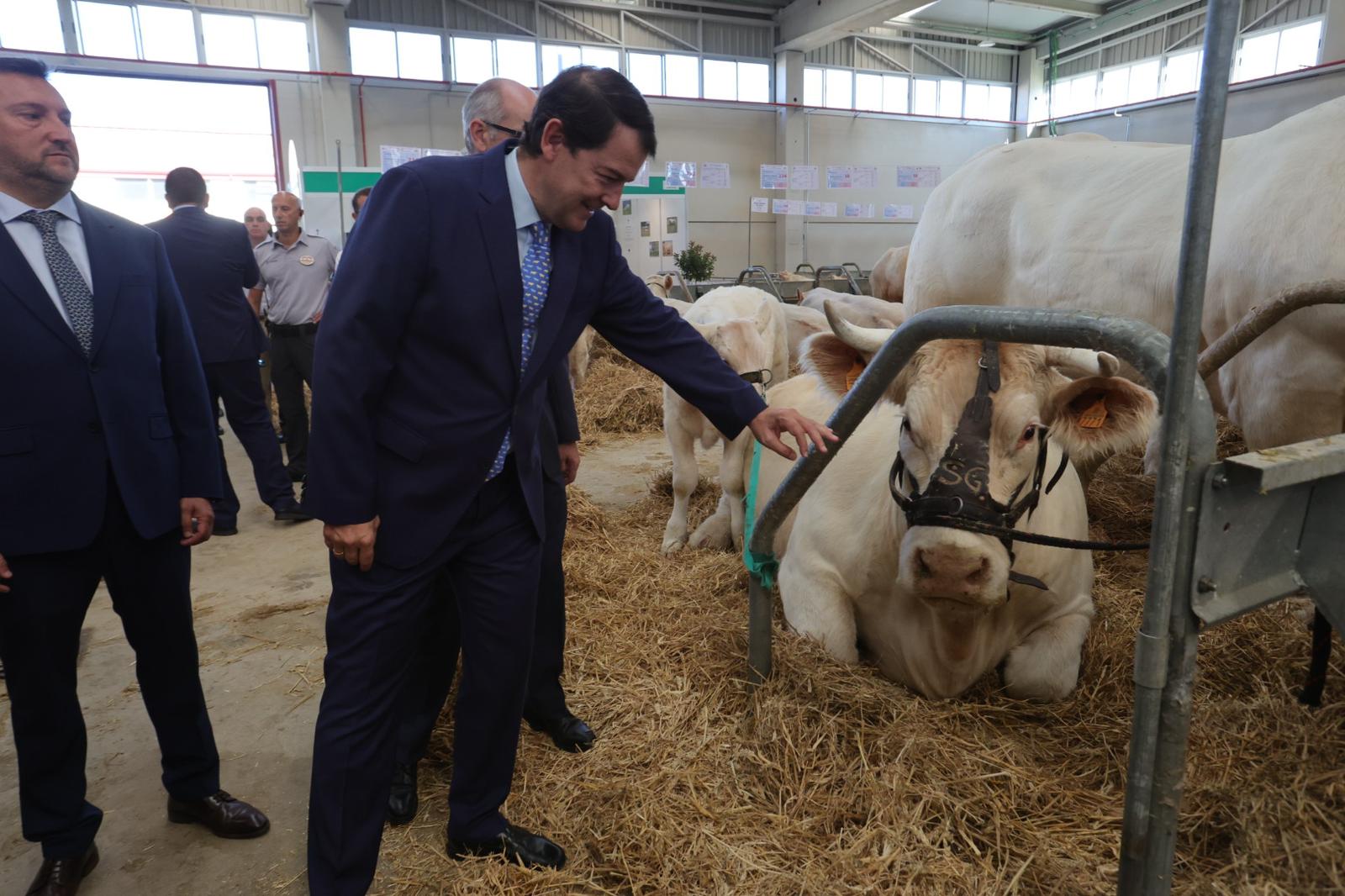 Inaugurada Salamaq, Feria del Sector Agropecuario y Exposición Internacional de Ganado Puro