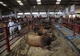Tercer día de Salamaq pasado por agua