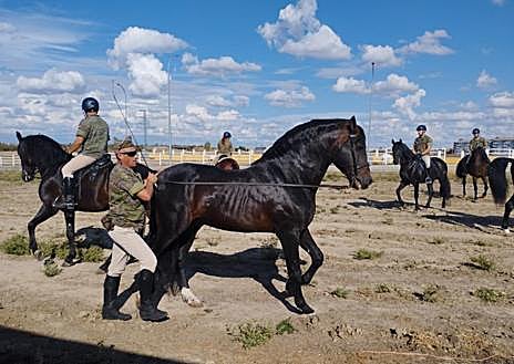 Imagen secundaria 1 - La Guardia Real ya está desplegada por Salamanca a ritmo de Rafael Farina