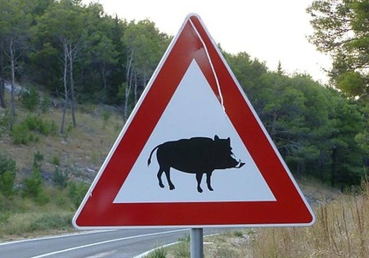 La Usal dispondrá de 60.000 euros para el programa de señalización inteligente para evitar accidentes por fauna