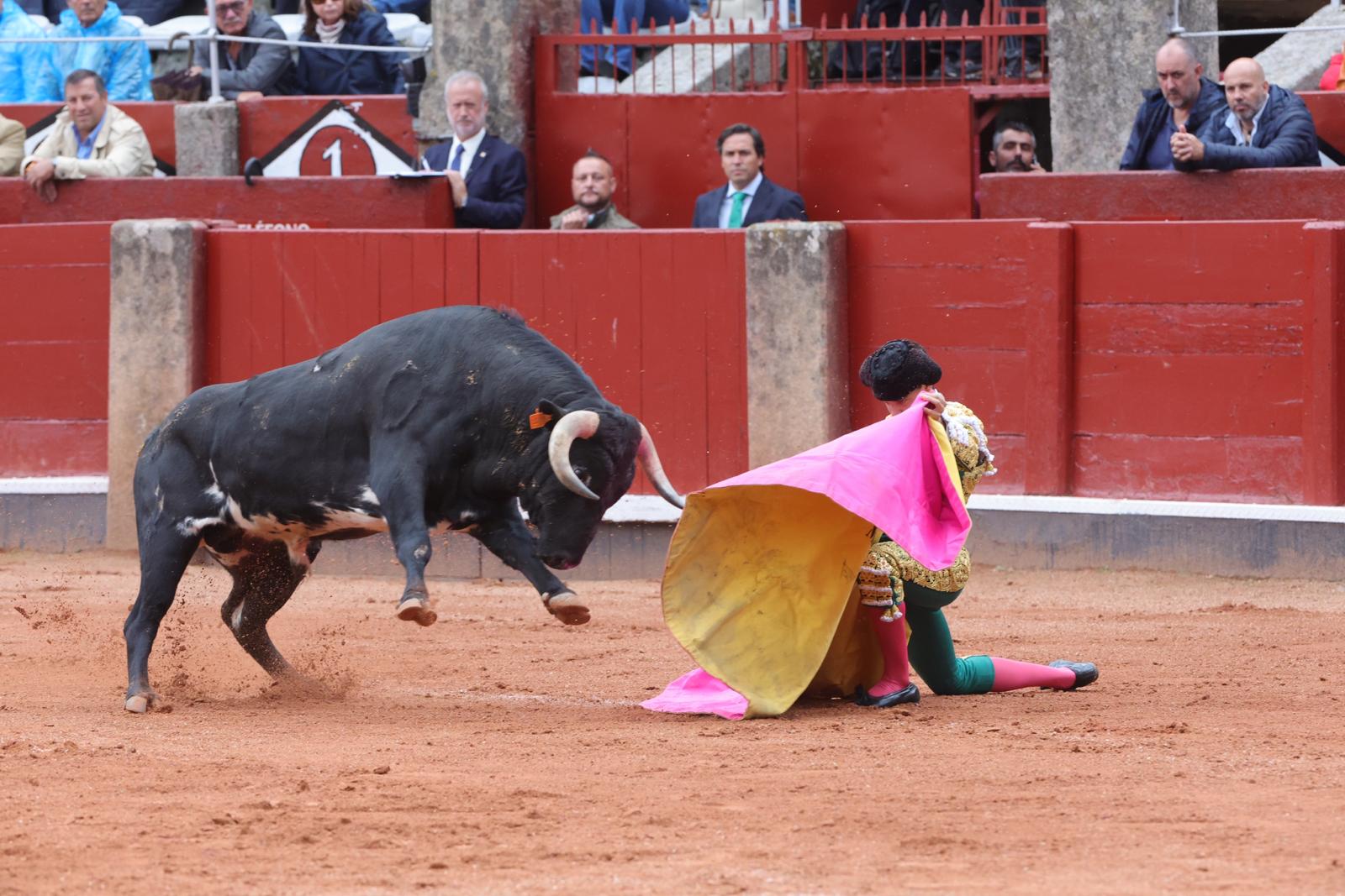 Ismael Martín triunfa en la novillada de Lorenzo Espioja en Salamanca