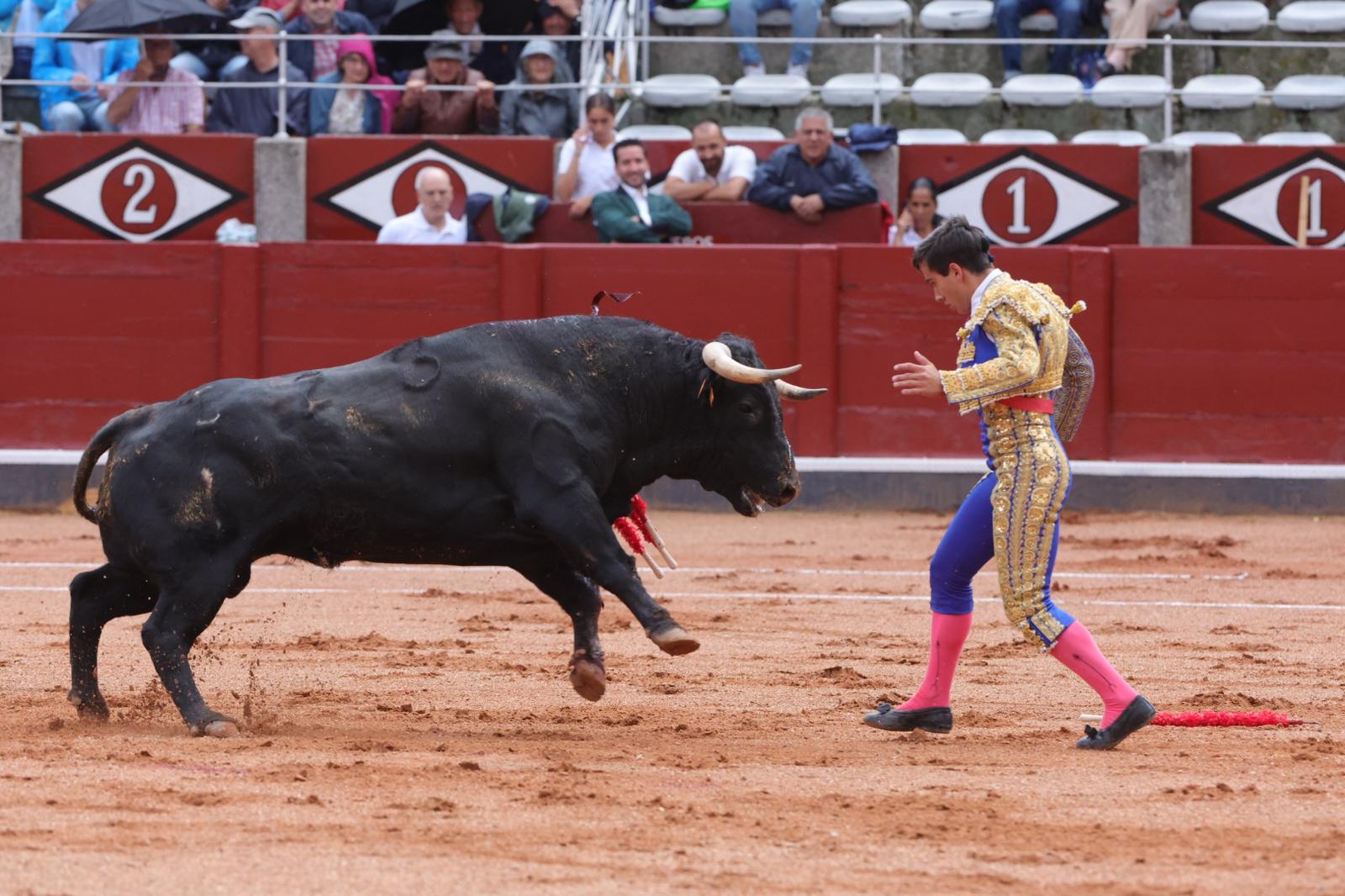 Ismael Martín triunfa en la novillada de Lorenzo Espioja en Salamanca