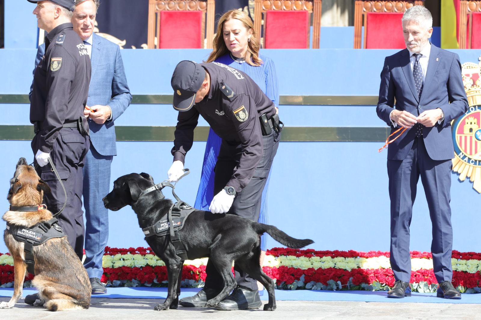 Marlaska, en el acto central de celebración del Día de la Policía en Salamanca