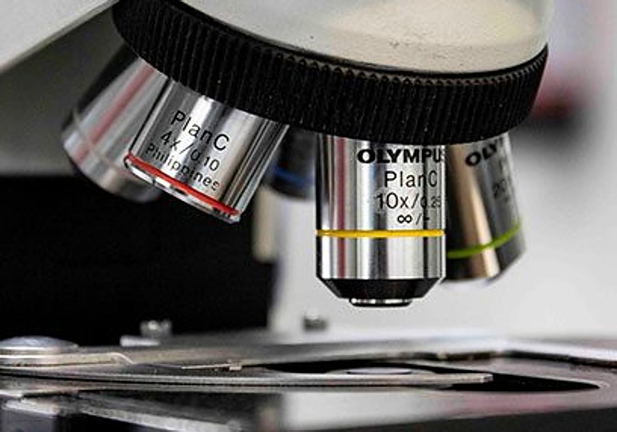 Microscopio en una imagen de archivo