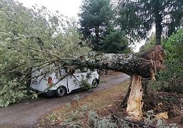 La furgoneta aplastada por un árbol derribado en la zona de la Sierra de Francia.