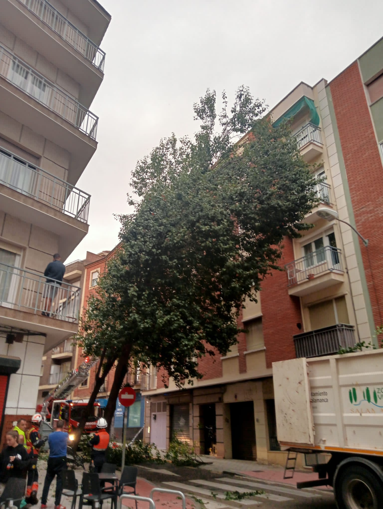 El temporal de viento se ceba con Salamanca