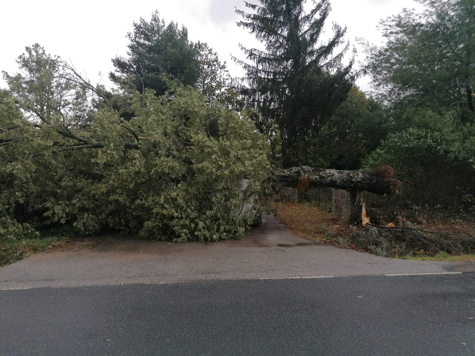 El temporal de viento se ceba con Salamanca