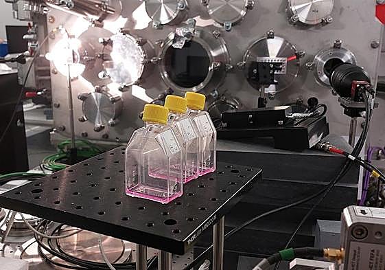 El CLPU de Salamanca investiga el uso de altas dosis de radiación ultrarrápida contra el cáncer