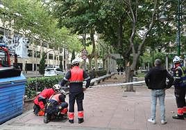 Árbol que está siendo cortado en el Paseo de Carmelitas y otro de San José con una gran rama caída en el suelo.