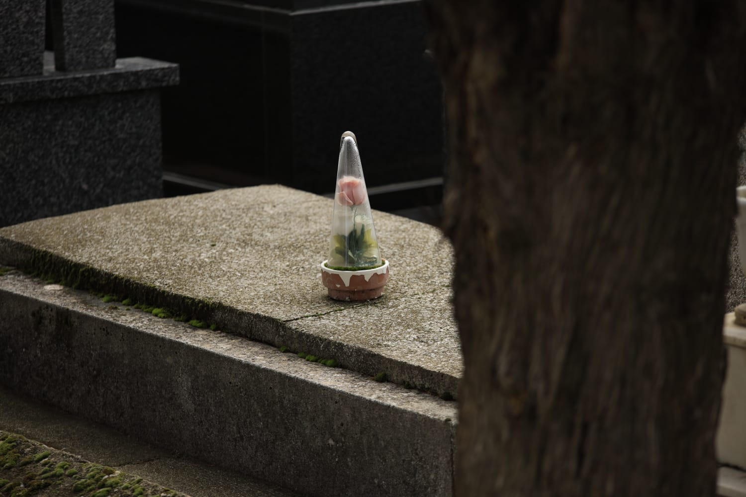 Los salmantinos recuerdan y visitan a sus seres queridos fallecidos