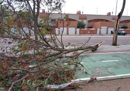 La borrasca Ciarán deja 109 emergencias en Salamanca