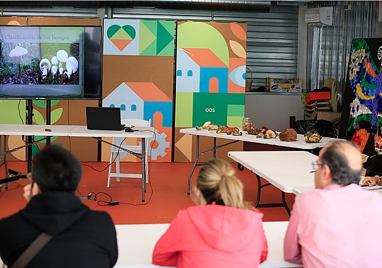 La pasión desatada por las setas aumenta las iniciativas micológicas en Salamanca