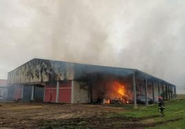 Incendio en una granja de Caleruega en el que han muerto 700 ovejas.