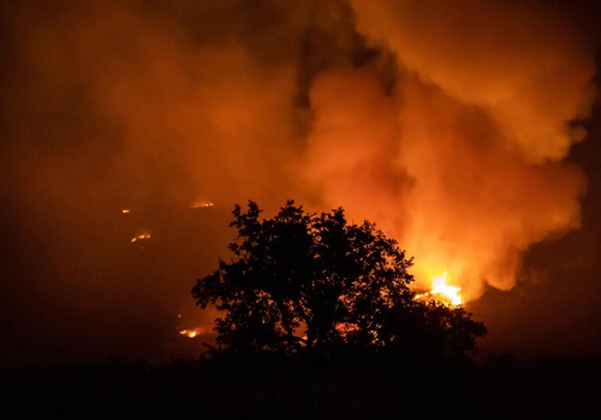 Incendio forestal de Monsagro en el termino municipal de Tenebrón(Salamanca).