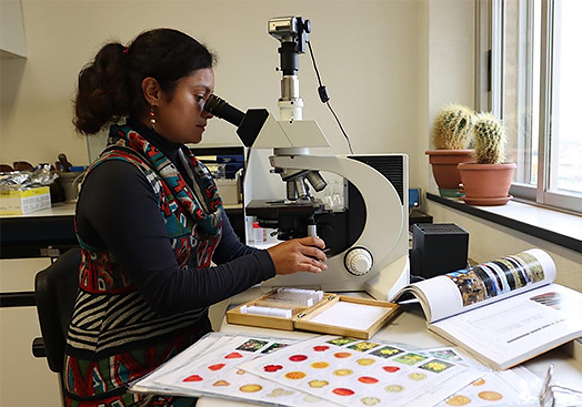 Diana Ochoa, en el laboratorio del Grupo de Geociencias Oceánicas de la Universidad de Salamanca.
