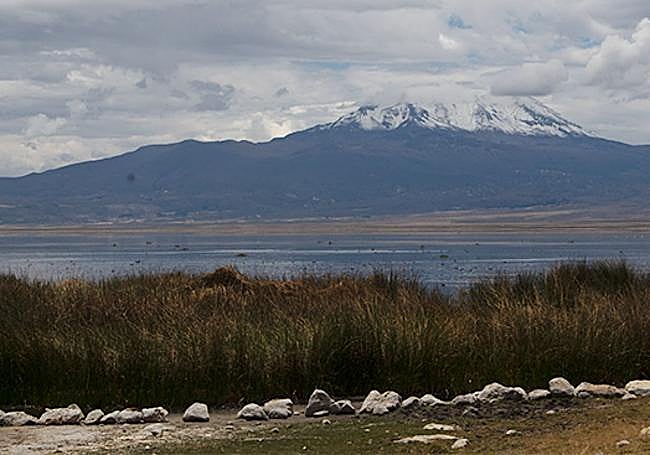 Material recuperado para el estudio.