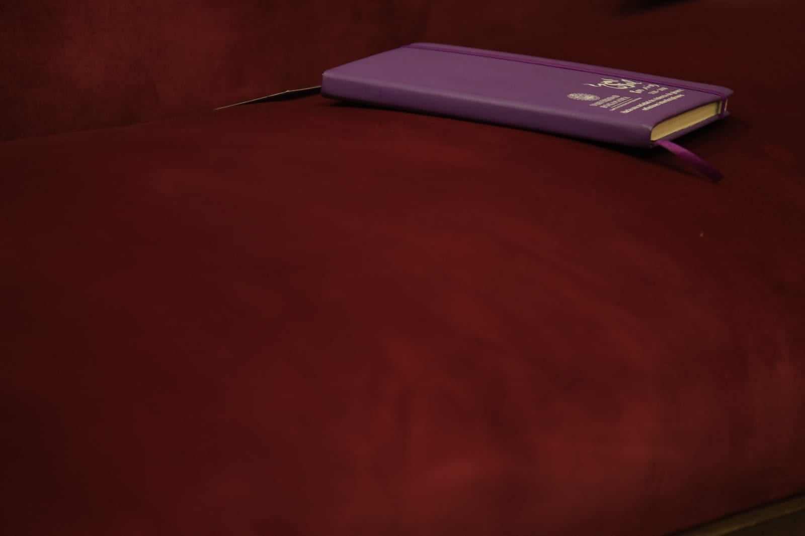 Rozalén canta en el Paraninfo &#039;La puerta violeta&#039; junto a varios niños