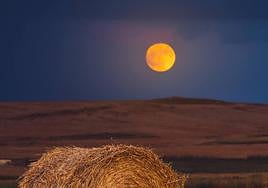 Primer premio categoría general, Jorge Tomás Jiménez