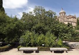 Huerto de Calisto y Melibea