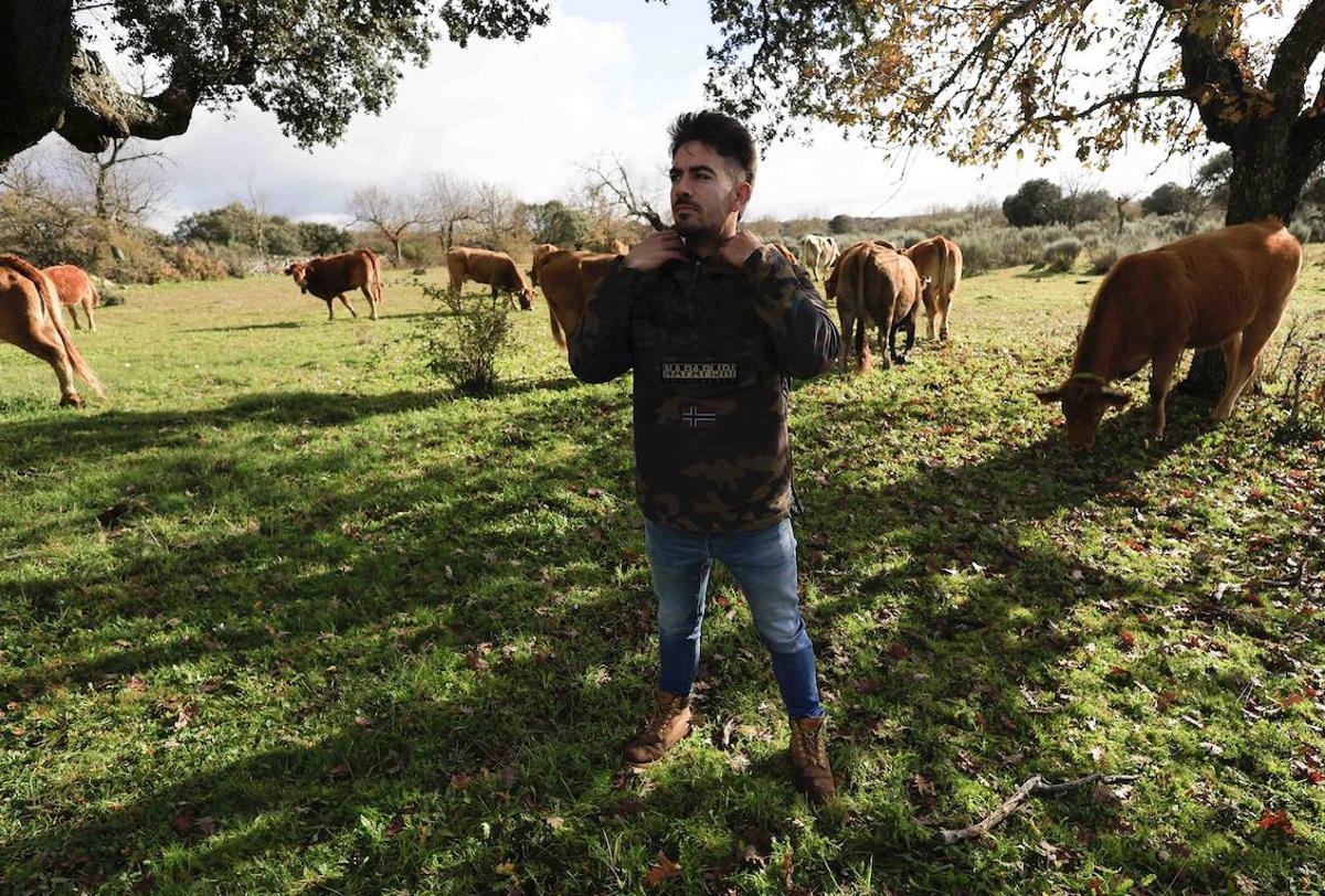 Ganadería regenerativa en la provincia de Salamanca para salvar a las vacas y las encinas