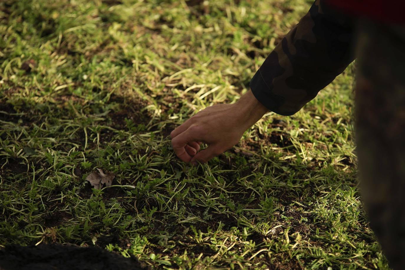Ganadería regenerativa en Salamanca