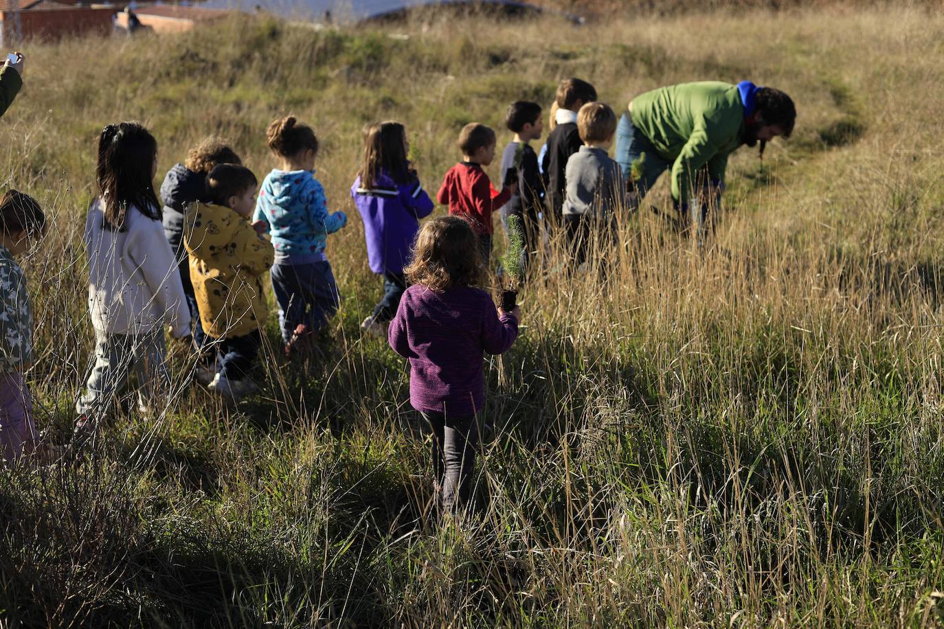 El nuevo camino verde vecinal del Norte de Salamanca