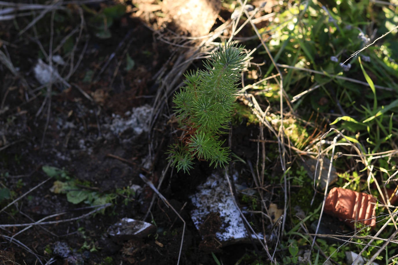 El nuevo camino verde vecinal del Norte de Salamanca