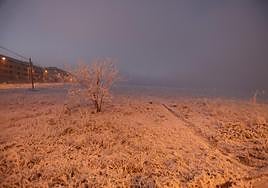 La helada de esta mañana en la capital de Salamanca se fusiona con la intensa niebla.