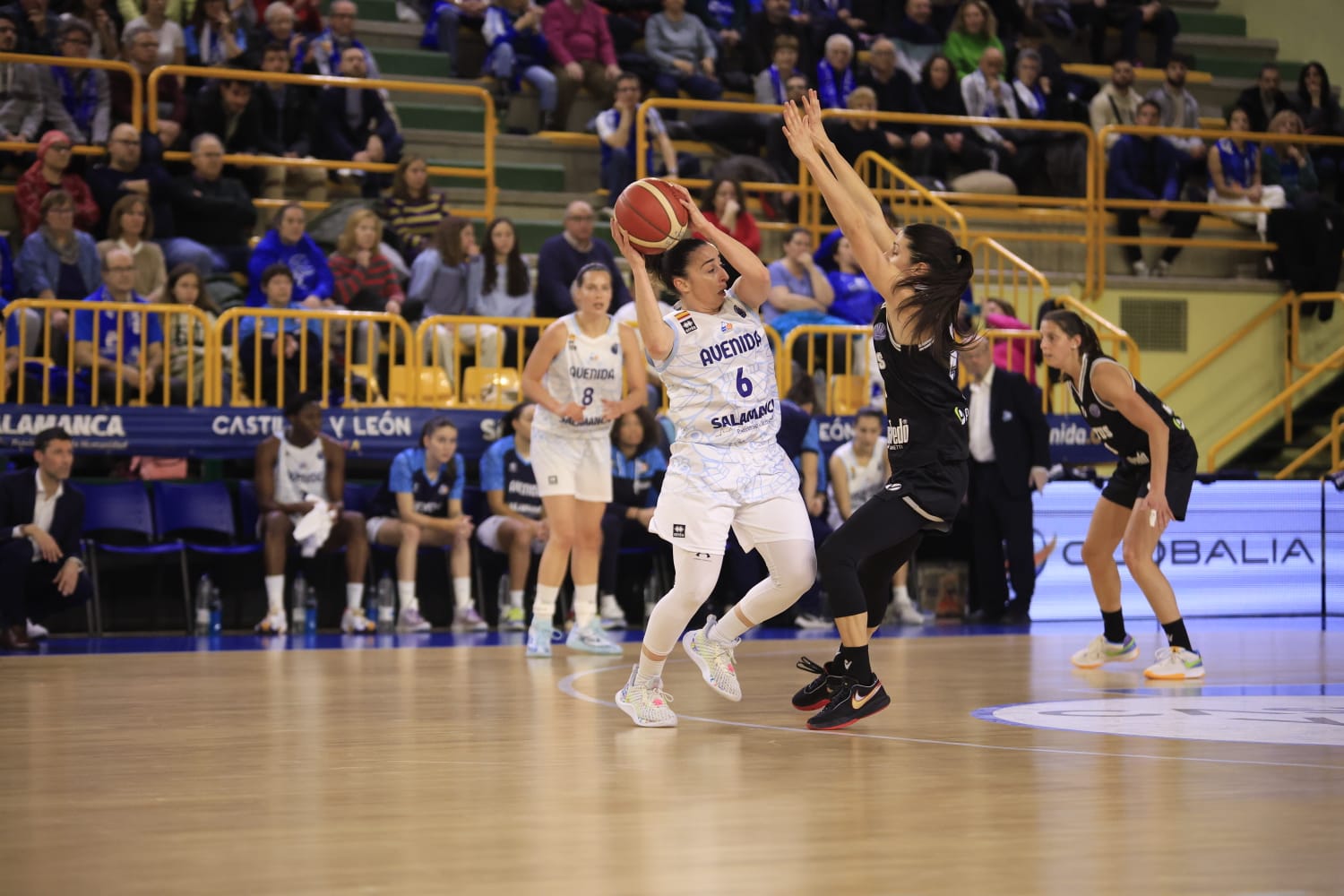 Las imágenes de la dura derrota final de Avenida ante la Virtus