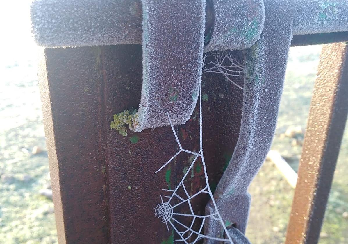 Salamanca registra dos de las diez temperaturas más bajas del viernes en Navasfrías y Barbadillo