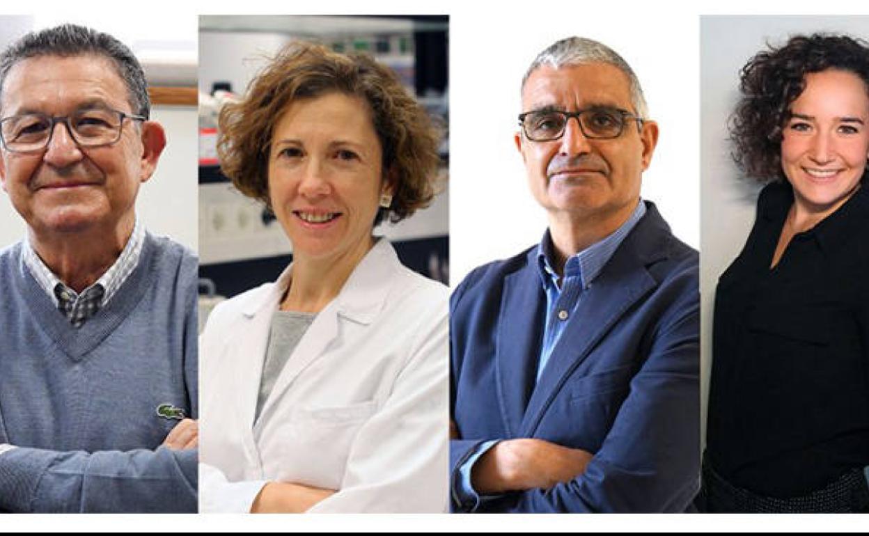 Investigadores principales del proyecto. 