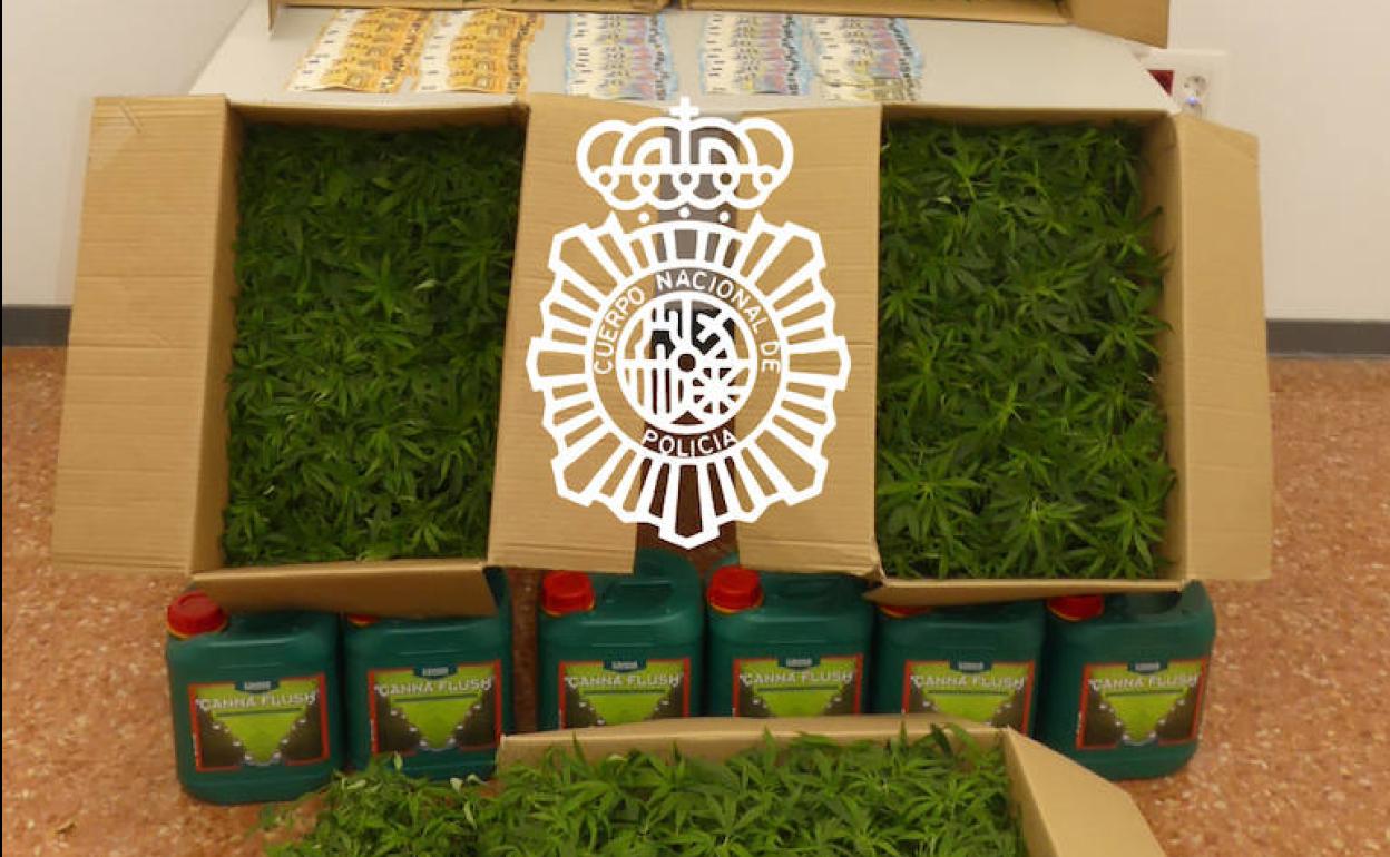 La droga interceptada por la Policía Nacional de Salamanca. 