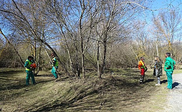 Trabajos de limpieza y acondicionamiento de la ribera de la Isla de Soto. 