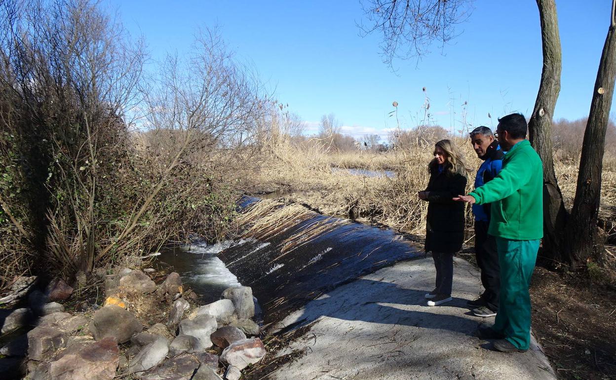 Visita a la ribera de la Isla de Soto de la concejal de Obras, Parques y Jardines, Marta Labrador. 