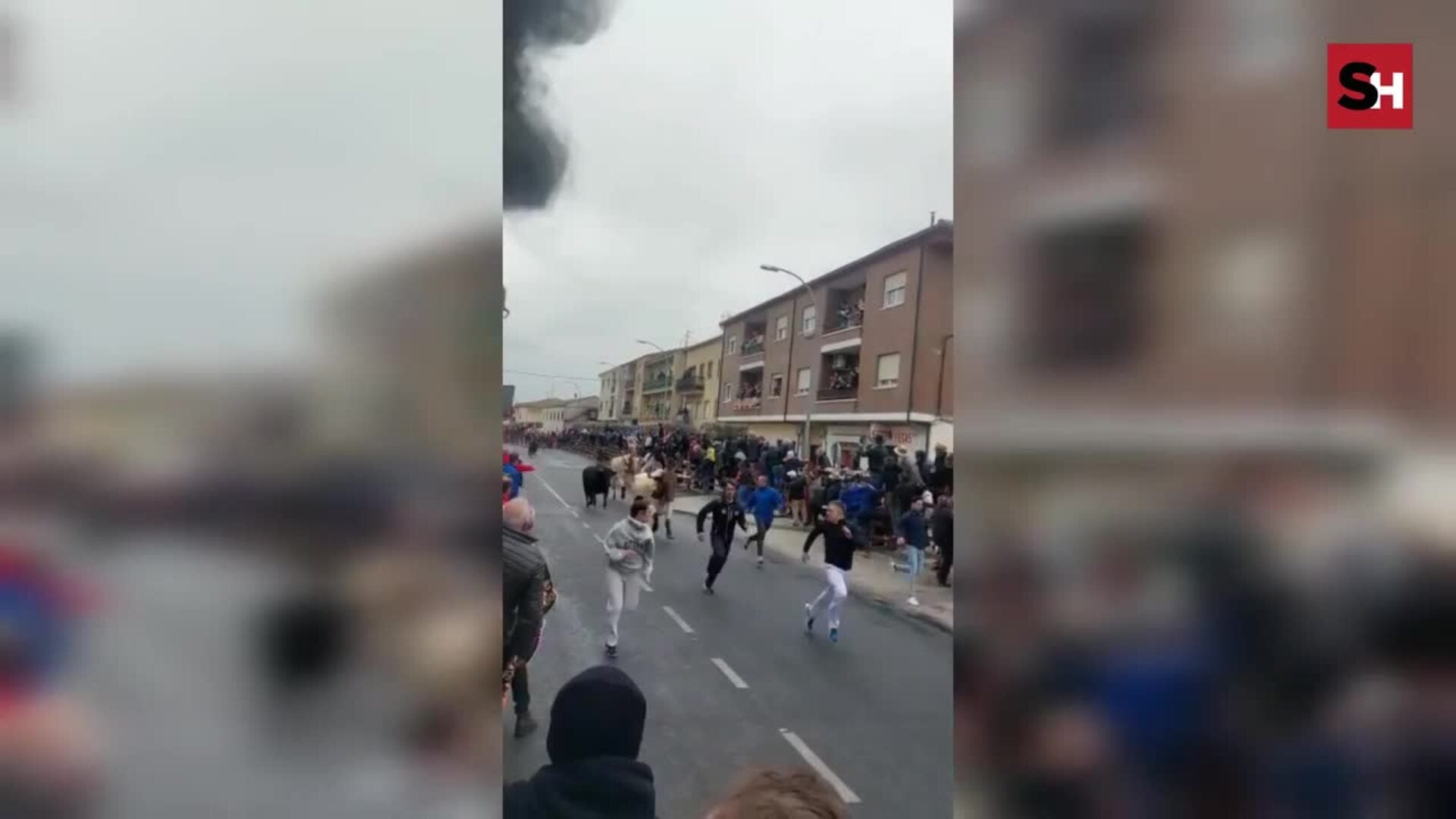 Cogida en el encierro del Carnaval del Toro en Ciudad Rodrigo