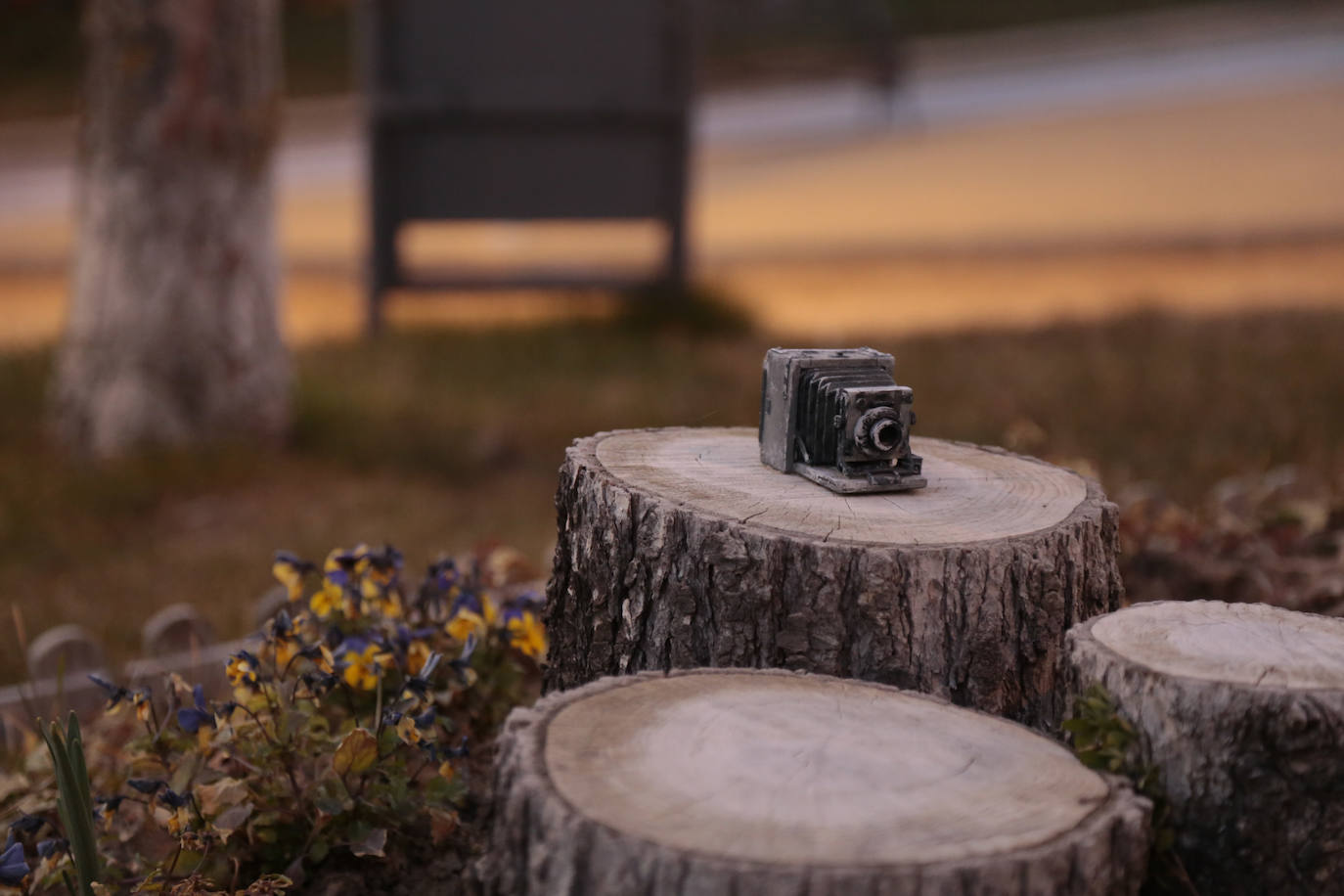 Fotos: Ciudad Jardín celebra su 70 aniversario